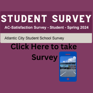  Student Surveys